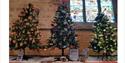 Christmas trees on display at the Crooked Spire Christmas Tree Festival