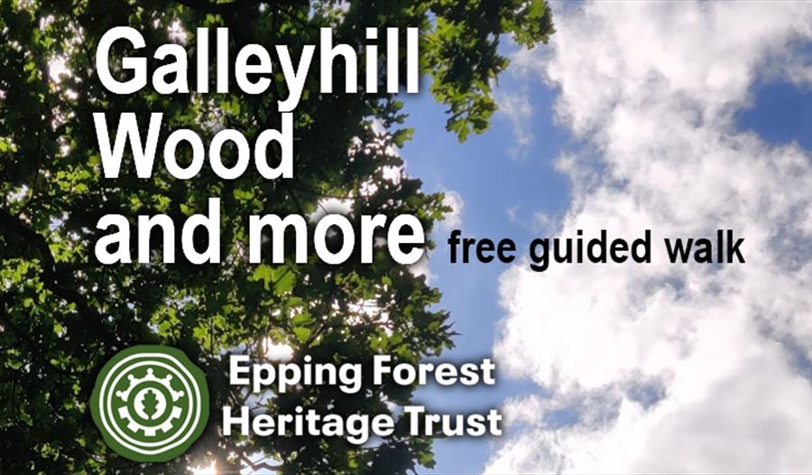 Free walk to Galleyhill Wood by Epping Forest Heritage Trust