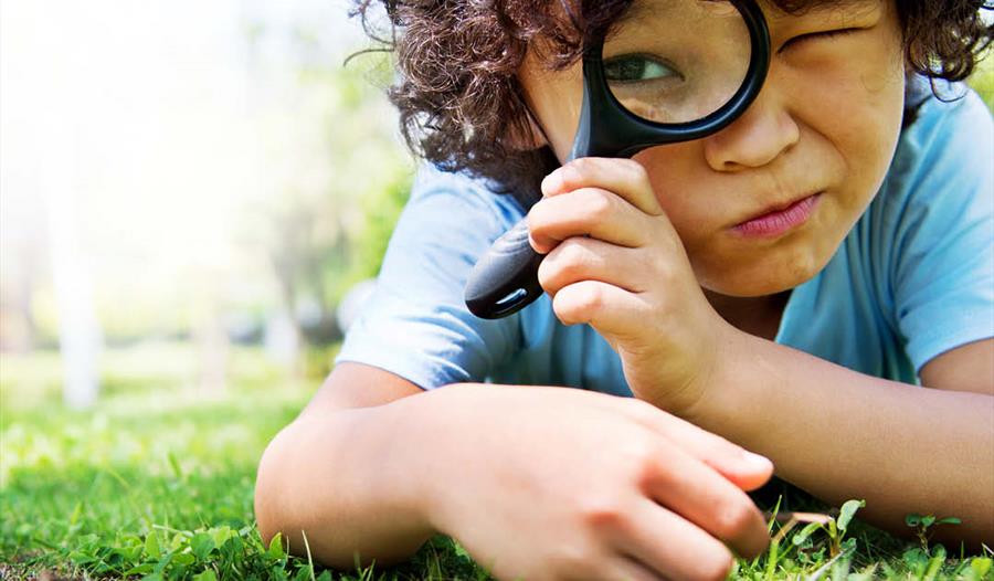 Child looking through magnifying glass