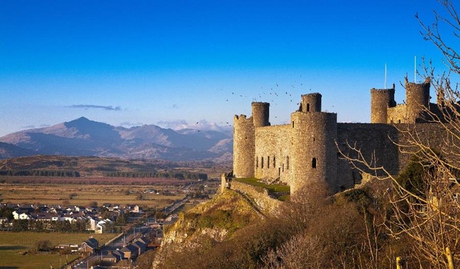 Songs and Stories for Welsh learners at Harlech Castle