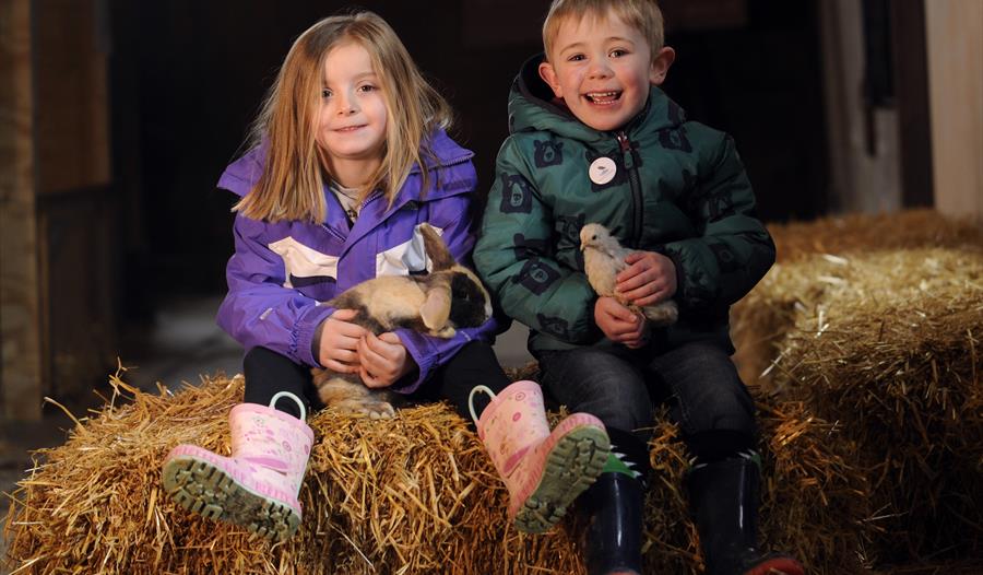 Children sitting on a hay bale