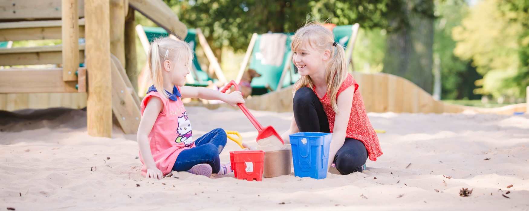 adventure play at Trentham