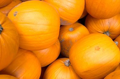 Autumnal Display and Pumpkin Painting