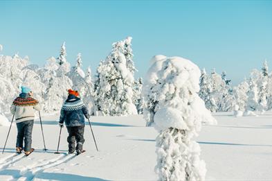 Discover Arctic Lakeland with TUI!