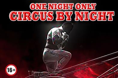 Circus By Night