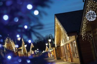 Christmas Light Switch On at Trentham Shopping Village