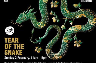 Chinese New Year of the Snake