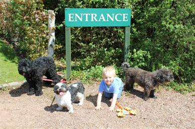 Canine Capers