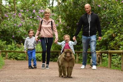 Trentham Monkey Forest