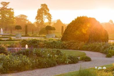 International Dawn Chorus Day