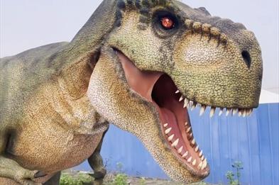 Dinosaur Antics
