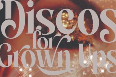 Disco For Grown Up's