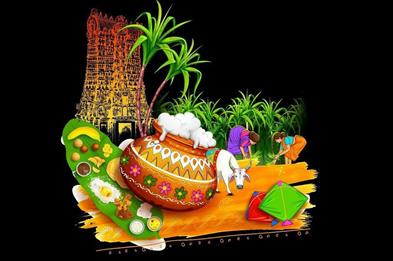 Tamil Thai Pongal Festival