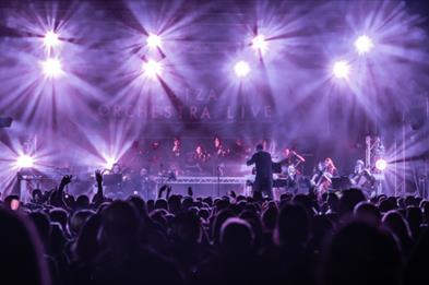 The Ibiza Orchestra Experience