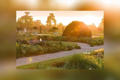 International Dawn Chorus Day