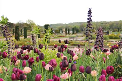 Spring Bulb Festival