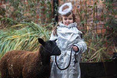 Meet the Nativity Animals at the Emma Bridgewater Factory