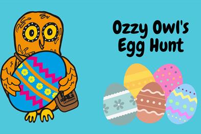 Ozzy Owl's Egg Hunt