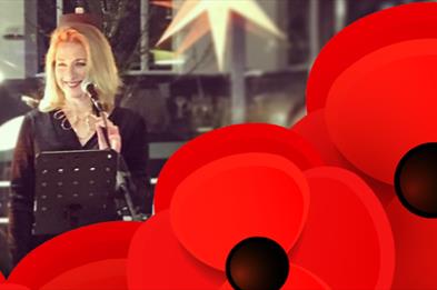 remembrance poppies