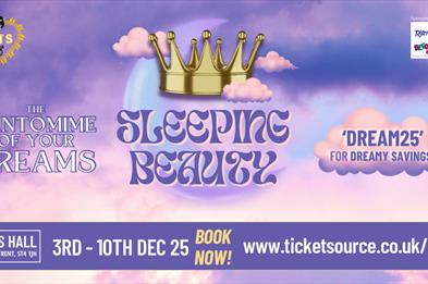 Sleeping Beauty: The Pantomime of Your Dreams