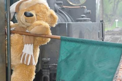 Teddy Bear Outing