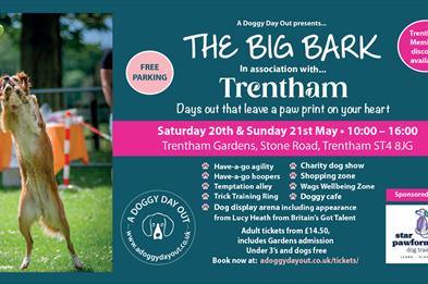 The Big Bark In The Park