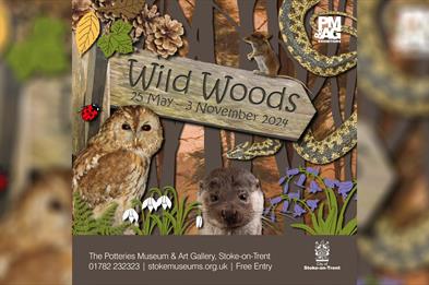Wild Woods