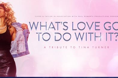 What's Love Got To Do With It? A Tribute To Tina Turner