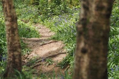 FREE nature activities in Stoke and Newcastle