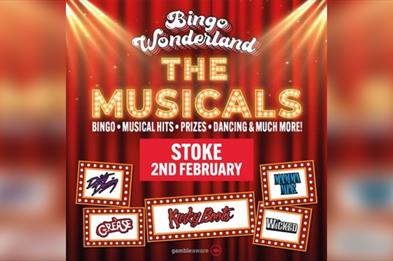 Bingo Wonderland The Musicals