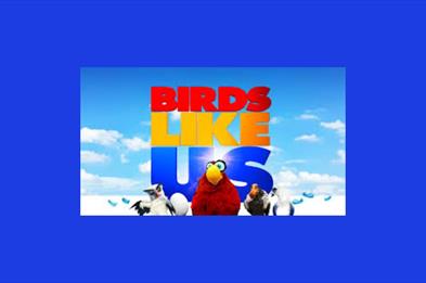 MAC Film: Birds Like Us