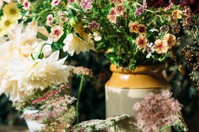 photo of flowers