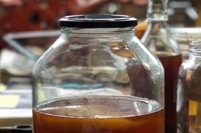 Learn to make Kombucha - The Tawny Hotel