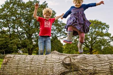 Nature Tots at Westport Lake