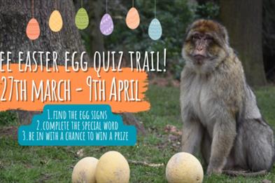 Free easter egg quick trail 27th march - 9th april