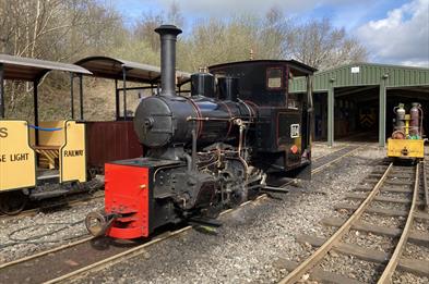 Steam Train