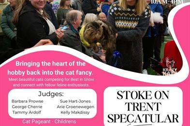 Fancy Cats Organisation - Stoke on Trent SpeCATular