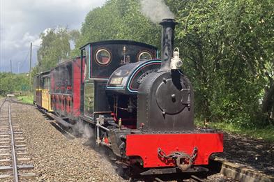 Steam Train