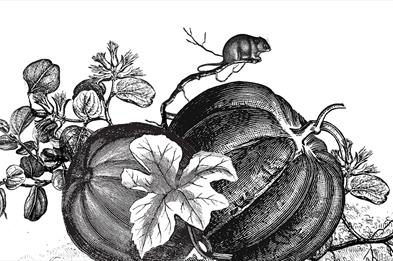 Middleport Mice Trail - October Half Term
