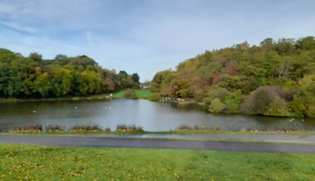 Wildlife Walk at Central Forest Park