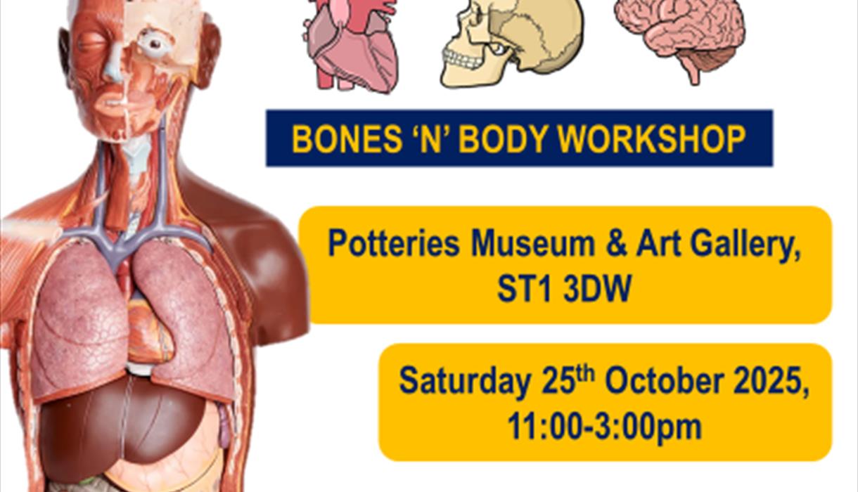 World Anatomy Day