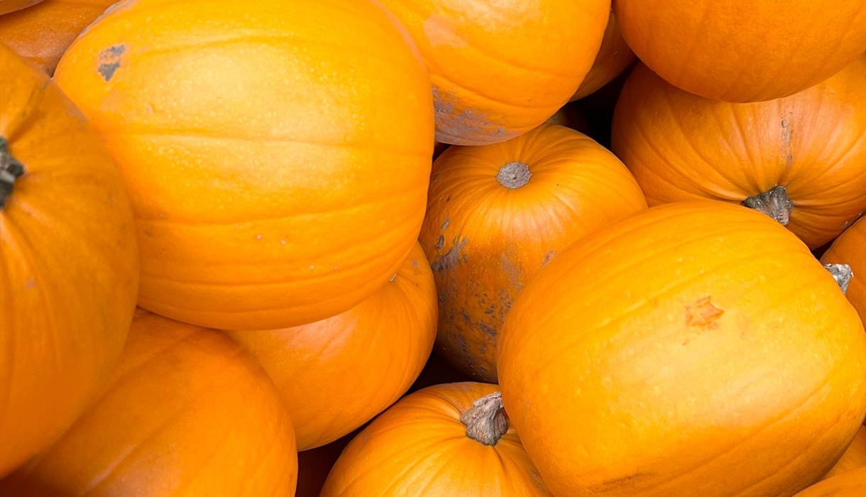 Autumnal Display and Pumpkin Painting