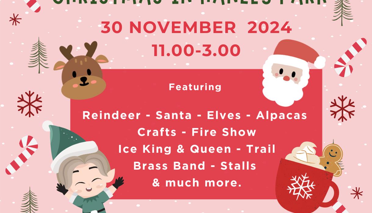 Christmas in Hanley Park