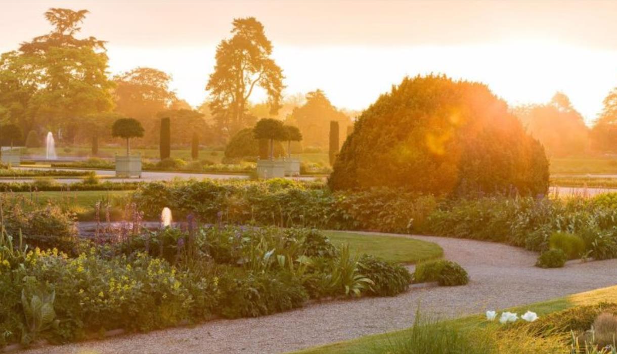 International Dawn Chorus Day