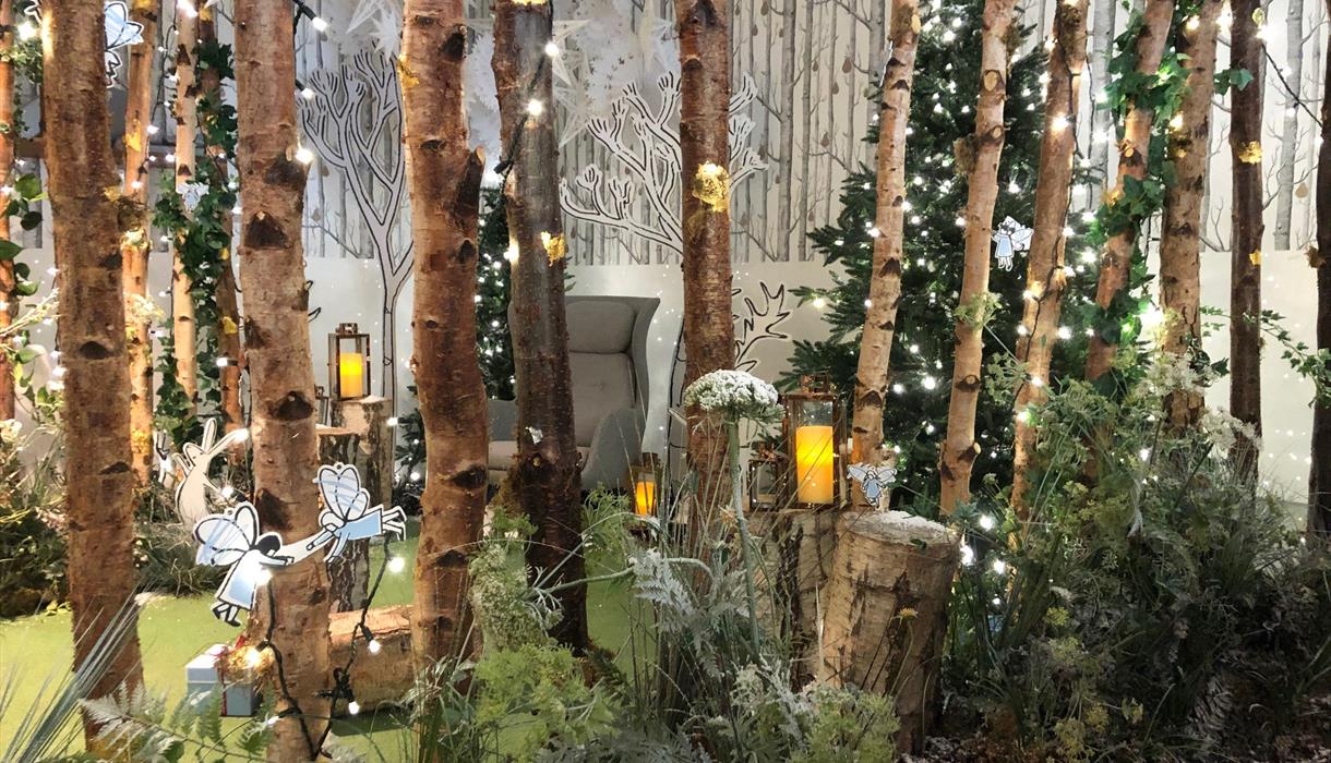 Storytime in Santa's Grotto