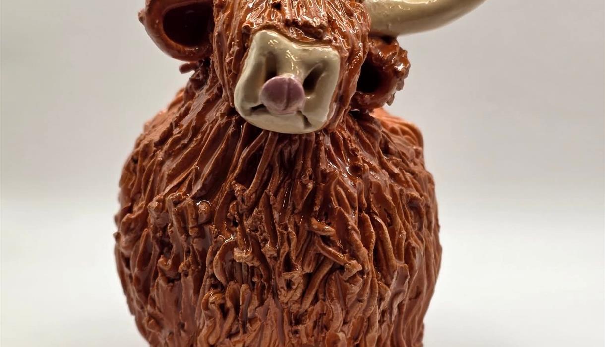 Highland Cow Pottery Workshop