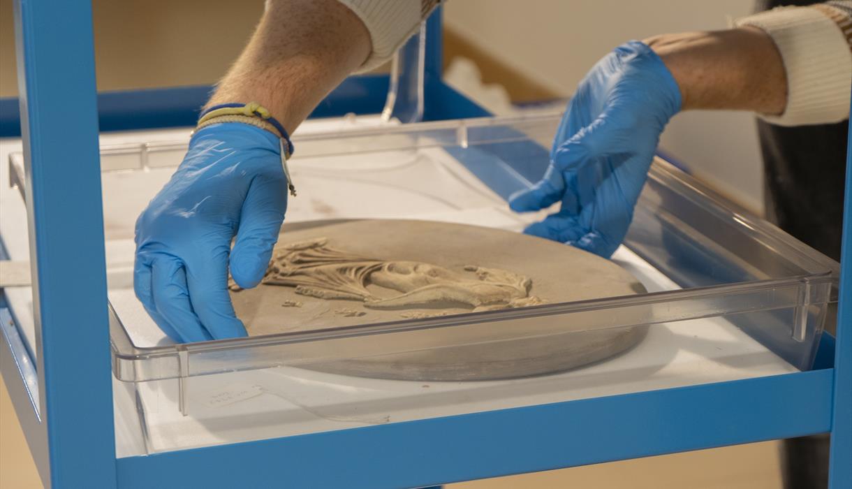 Unpacking Wedgwood