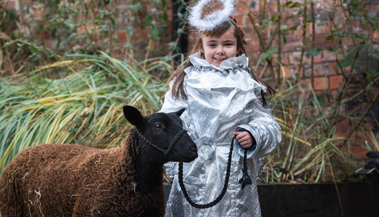 Meet the Nativity Animals at the Emma Bridgewater Factory