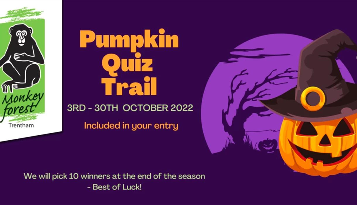 A graphic for the Pumpkin Quiz Trail at the Monkey Forest, Staffordshire this October