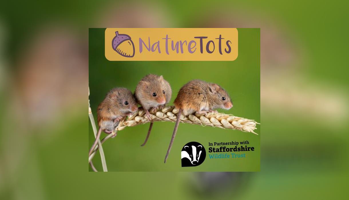 Nature Tots – Staffordshire Wildlife Trust Partnership